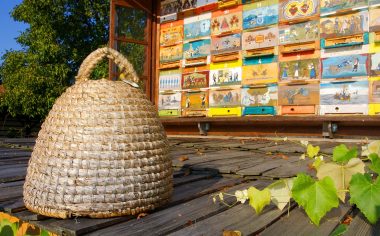 Slovenia travel tour beekeeping